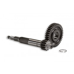 Primaire Overbrenging Malossi 14/39 | Piaggio / Vespa 4T 10â