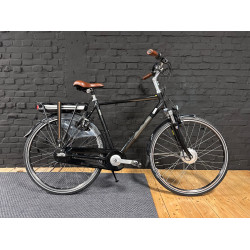 Multicycle Spirit e-bike