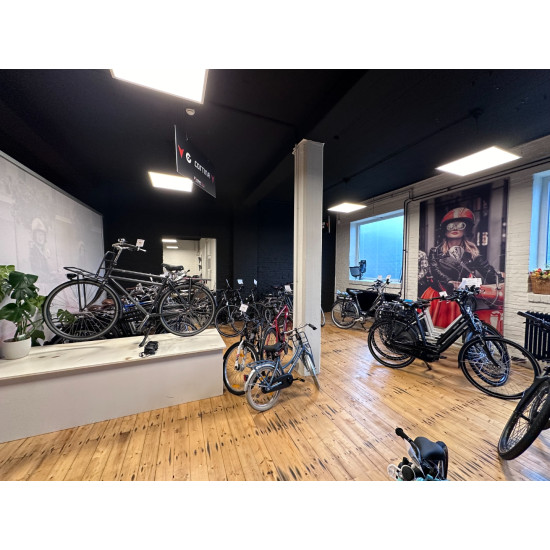 Batavus Bryte stadsfiets